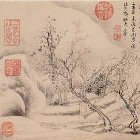 金瑶霭的头像