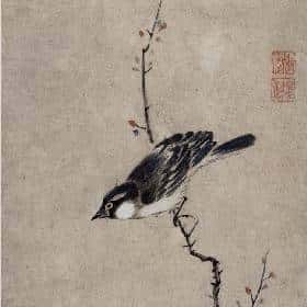 顾行的头像