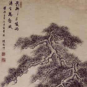 姚亭茵的头像