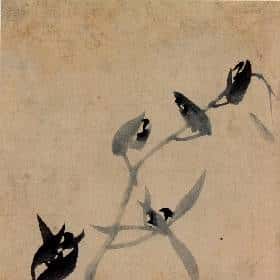 江景峰的头像