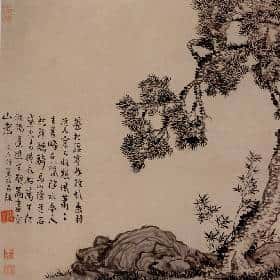 白瑾暄的头像