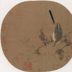韦梦珏的头像