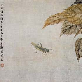 邱熙雅的头像